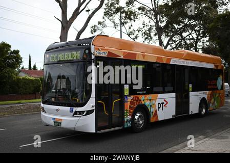 Nuovo autobus elettrico Volvo BZL, gestito da CDC Melbourne, che viaggia lungo North Rd con livrea PTV a tema ambientale visibile Foto Stock