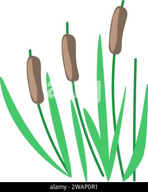 Canne con foglie su steli, erba alta di paludi Illustrazione Vettoriale