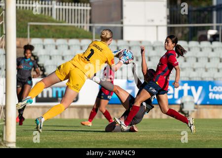 Adelaide, Australia. 6 gennaio 2024. Adelaide, Australia, 6 gennaio 2024: Annalee Grove (1 Adelaide United) salva durante la partita di Liberty A-League tra Adelaide United e Melbourne City al Marden Sports Complex di Adelaide, Australia (Noe Llamas/SPP) credito: SPP Sport Press Photo. /Alamy Live News Foto Stock