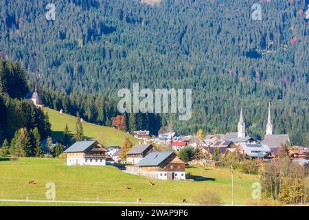 Gosau: Villaggio di Gosau, chiesa parrocchiale cattolica ed evangelica, casali, colori autunnali, mucche a Salzkammergut, Oberösterreich, alta Austria, Austria Foto Stock