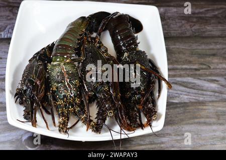 Aragosta fresca cruda, cruda e cruda, le aragoste sono una famiglia di Nephropidae, Homaridae di crostacei marini, con lunghi corpi e code muscolari e vivono in se Foto Stock