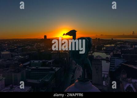 Il sole sorge dietro uno degli uccelli del fegato, seduto in cima al Royal Liver Building a Liverpool. Quasi 250 avvertimenti sulle inondazioni rimangono in vigore in Inghilterra e Galles, poiché le condizioni continuano a causare problemi di viaggio in vaste parti del paese. Data immagine: Sabato 6 gennaio 2024. Foto Stock