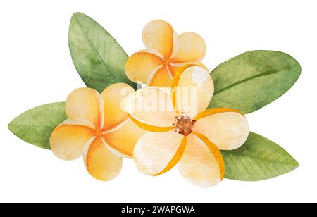 Immagine disegnata a mano di Un'illustrazione di acquerello a tema estivo con fiori tropicali gialli e foglie Clipart su sfondo bianco Foto Stock