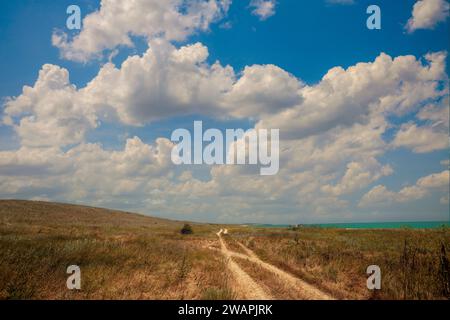 Strada sterrata nella steppa vicino al mare in una giornata di sole Foto Stock