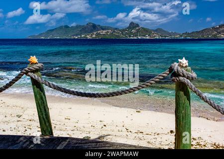 Passeggiata in corda dei Caraibi e vista sulla spiaggia da Palm Island a Union Island con spiaggia, conchiglie, oceano turchese e cielo blu. Foto Stock