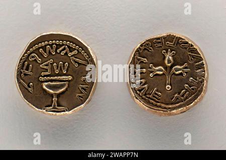 Fronte e retro dell'antico Shekel del 66-70 d.C., Foto Stock