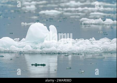 Primo piano di un coltivatore - piccolo iceberg in Alaska, USA Foto Stock