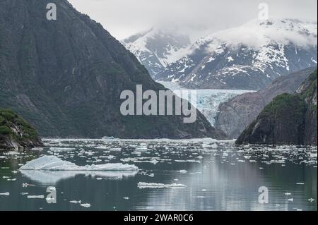 Gowlers (piccoli iceberg) che galleggiano in mare con il ghiacciaio North Sawyer in lontananza, Tracy Arm Inlet, Alaska, USA Foto Stock