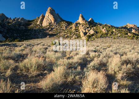 Cupola Steinfells, città di roccia riserva nazionale, Idaho Foto Stock