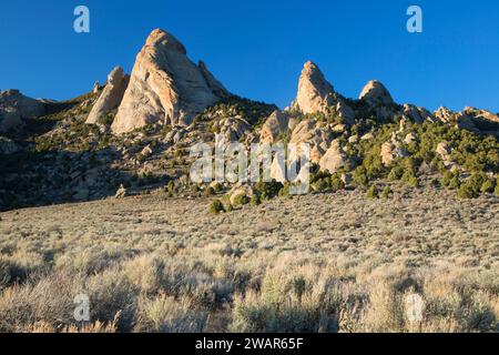 Cupola Steinfells, città di roccia riserva nazionale, Idaho Foto Stock