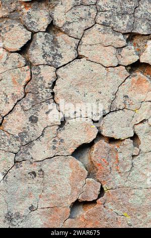 Affioramento di granito, città di roccia riserva nazionale, Idaho Foto Stock