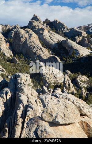 Affioramento di granito, città di roccia riserva nazionale, Idaho Foto Stock