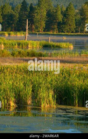 Piatto di acquitrini, Lee Metcalf National Wildlife Refuge, Montana Foto Stock