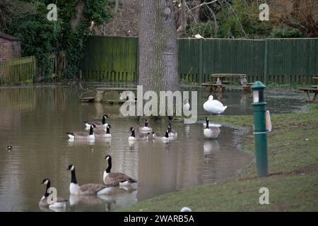 Datchet, Berkshire, Regno Unito. 6 gennaio 2024. Il livello dell'acqua continua ad aumentare nel villaggio di Datchet nel Berkshire. Il Tamigi ha fatto irruzione sulle sue rive e Datchet ha un allarme alluvione. Credito: Maureen McLean/Alamy Live News Foto Stock