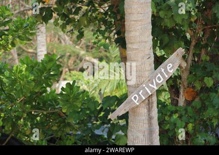 Sul tronco di un albero viene visualizzato un cartello con l'etichetta "Terra privata" che indica la restrizione di accesso all'area Foto Stock