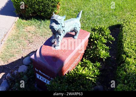 Los Angeles, California: TOTO Canine Movie Star Memorial, protagonista del film del 1939 "il mago di Oz" all'Hollywood Forever Cemetery Foto Stock