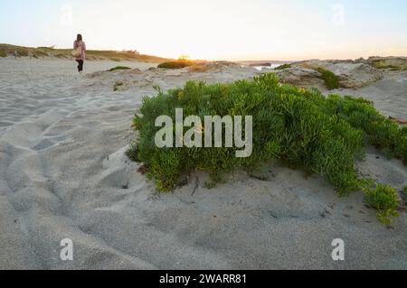 Donna che cammina al tramonto lungo la sabbia nella spiaggia di Ses Platgetes (es Caló, Formentera, Isole Pityusic, Isole Baleari, Mar Mediterraneo, Spagna) Foto Stock