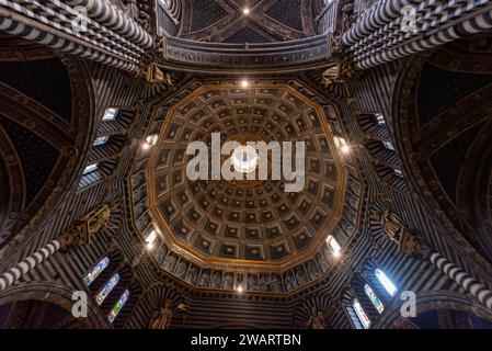 SIENA, ITALIA - 23 SETTEMBRE 2023 - soffitto della cupola nella cattedrale di Siena Foto Stock