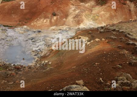 Reykjanesfólkvangur è una splendida riserva naturale in Islanda, piena di meraviglie naturali, tra cui piscine geotermiche e sorgenti termali Foto Stock