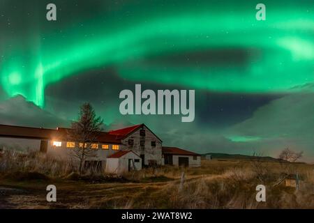 Luce del Nord, spettacolare aurora boreale sopra una fattoria in Islanda Foto Stock