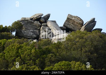 Un gruppo di massi e una foresta sulla cima di una montagna, sulla costa meridionale dell'isola greca di Ikaria, vicino a Karkinagri, in Grecia. Foto Stock