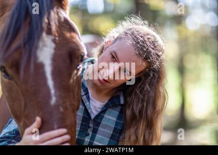 Ritratto della testa di un cavallo sullo sfondo colorato dello studio Foto Stock