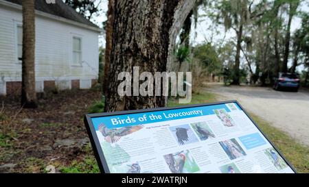 Tabellone grafico informativo sugli uccelli del Lowcountry su un sentiero naturalistico a piedi al Coastal Discovery Museum di Hilton Head, South Carolina. Foto Stock