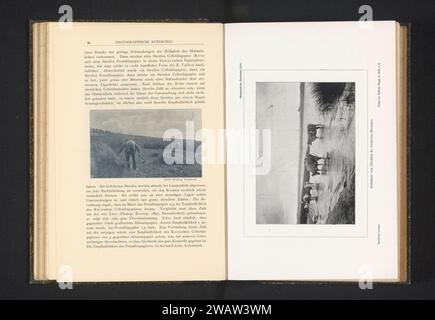 Mucche lungo un fiume, D. Schultz-Hencke, c. 1893 - in o prima del 1898 stampa fotomeccanica Geraardsbergenprinter: Halle an der Saale paper mucca. river Foto Stock