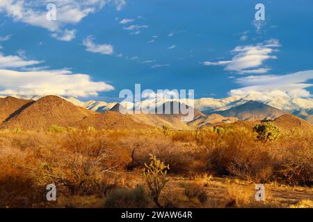 Il deserto dopo una pioggia al tramonto Foto Stock