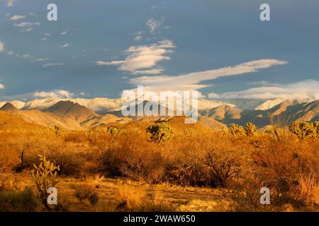 Il deserto dopo una pioggia al tramonto Foto Stock
