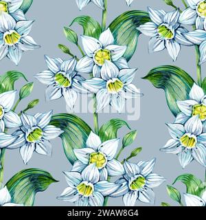Daffodil Eucharis Blossom pattern senza cuciture. Fiori di narciso disegnati a mano. Morbido motivo floreale per un design naturale o romantico, tessuto, involucro, piatti di carta Foto Stock