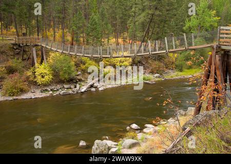 Rock Creek a ponte Benvenuti Creek sentiero, Lolo National Forest, Montana Foto Stock