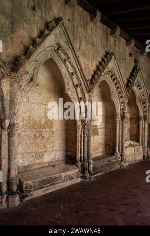 Tombe riccamente decorate, risalenti agli anni '1200 e '1300, fiancheggiano le pareti sud e est del chiostro della Collegiata di Saint-Emilion, borgo medievale nel cuore della zona vinicola di Bordeaux nel dipartimento della Gironda, Nouvelle-Aquitaine, Francia. Foto Stock