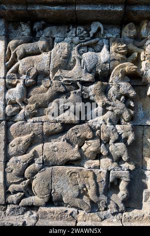 Bassorilievo degli animali a Borobudur, Magelang, Giava centrale, Indonesia Foto Stock