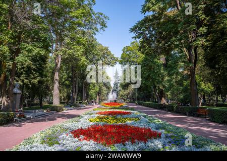 Passeggini, letto di fiori nel Parco Panfilov, parco municipale a Bishkek, Kirghizistan Foto Stock