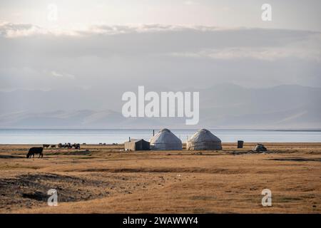 Yurte tradizionali al lago Songkoel su un altopiano, montagne sullo sfondo, Kirghizistan Foto Stock