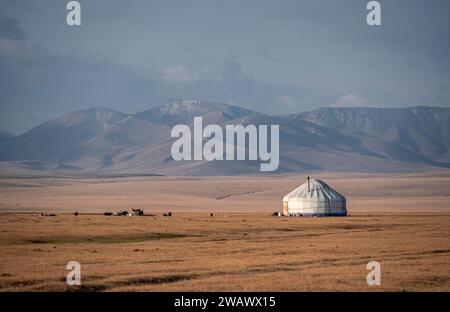 Yurte tradizionali a Songkoel su un altopiano, montagne sullo sfondo, Kirghizistan Foto Stock