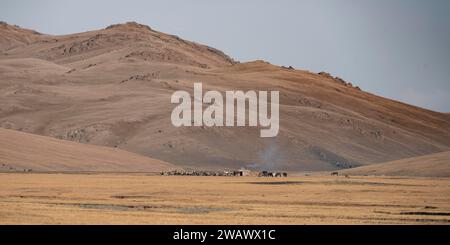 Yurte tradizionali a Songkoel su un altopiano, montagne sullo sfondo, Kirghizistan Foto Stock