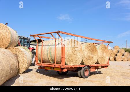 Auf einem Bauernhof in der Nähe von Sampieri Sizilien während der Getreideernte Foto Stock