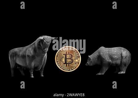 Bull and Bear, figure simboliche del mercato azionario, Studio Foto Stock