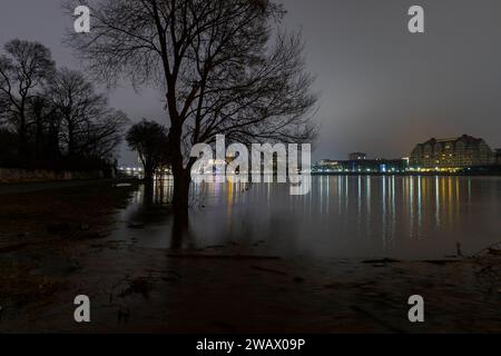 Elbehochwasser a Dresda Beim ersten Hochwasser des Jahres 2024, ist der Scheitel überschritten und die Pegel cadde langsam wieder. Die Elbauen des Neustäter Ufers sind noch überschwemmt und die historische Altstadtsilhouette spiegelt sich beeindruckend Groß. Dresda Sachsen Deutschland *** le inondazioni dell'Elba a Dresda alla prima inondazione del 2024, il picco è stato superato e i livelli dell'acqua stanno lentamente diminuendo di nuovo i prati dell'Elba sul Neustäter Ufer sono ancora allagati e la sagoma storica della città vecchia è straordinariamente grande Dresda Sassonia Germania Foto Stock