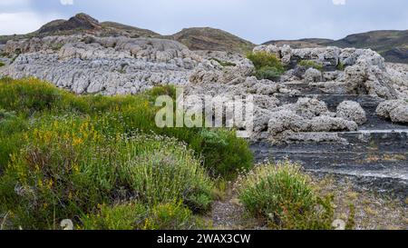 Formazioni trombolite del lago Sarmiento, Parco Nazionale Torres del Paine, Cile Foto Stock