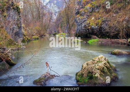 fiume nelle gole calcaree, Cheile Turzii in Transilvania Foto Stock