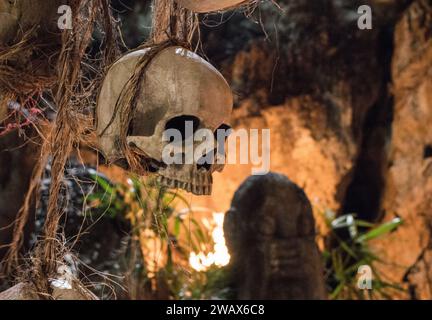Il cranio umano appeso alla corda. Simbolo di morte. Concetto di paura e orrore. Decorazioni occulte per "dia de los Muertos" e Halloween. Sacrificio rituale Foto Stock