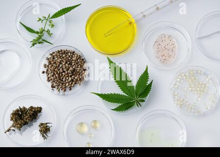 Vista dall'alto dell'olio CBD di cannabis, semi di canapa e foglie in un laboratorio di piastre Petri. Vetreria da laboratorio e cannabis sativa erbe e canapa Cannab Foto Stock