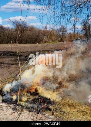 Fiamme e fumo si alzano da una pila di fiamme. Combustione illegale di foglie e erba secca. Foto Stock