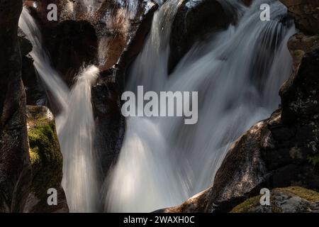 Avalanche Creek, Glacier NP, Montana Foto Stock