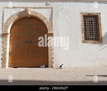Piccolo gatto siede accanto a una grande porta d'ingresso in legno nella città di Essaouira, in Marocco. 7 gennaio 2024 Foto Stock