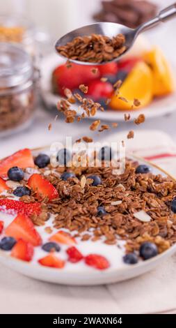 Nuove foto di grani d'avena scattate con cioccolato, immagini di alta qualità Foto Stock