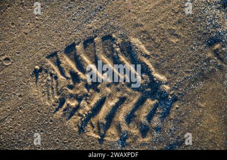 Impronta sulla sabbia sulla spiaggia di Ballywalter Foto Stock